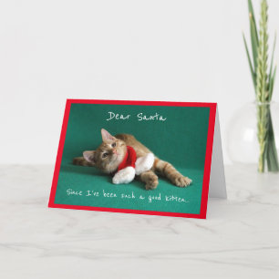 Kitten Dressed Up for Christmas Holiday Card