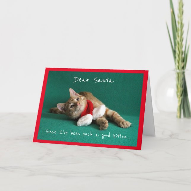Kitten Dressed Up for Christmas Holiday Card (Front)