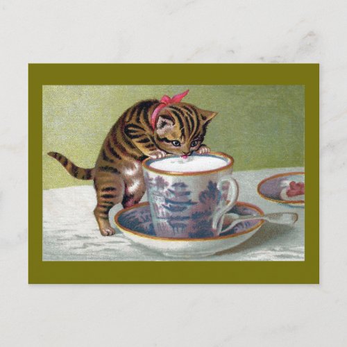 Kitten Drinking from Teacup Victorian Postcard