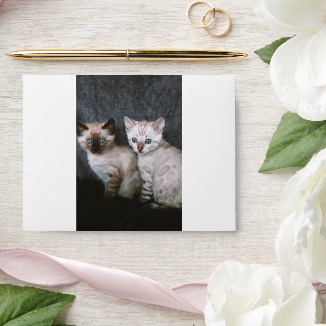 Kitten Envelope (Wedding)