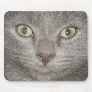 kitten face2 mousepad -gray