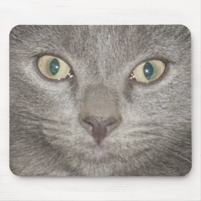 kitten face2 mousepad -gray (Front)