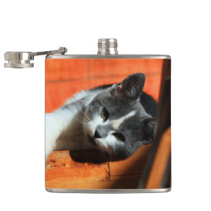 Kitten Flask