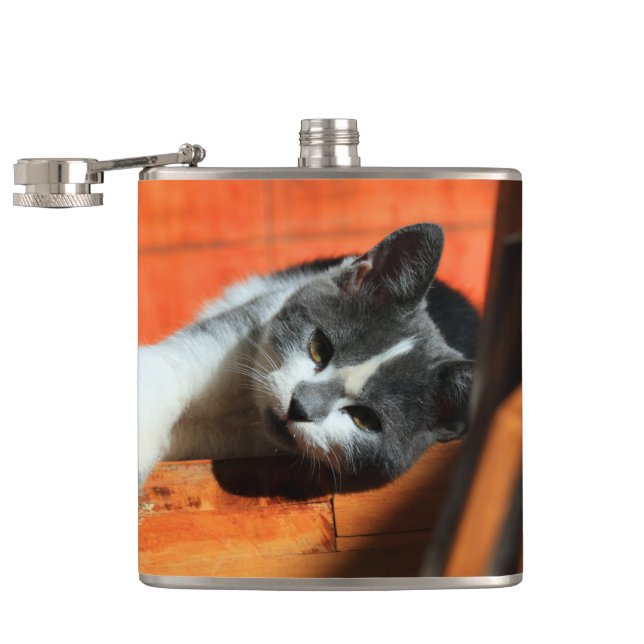 Kitten Flask (Opened)