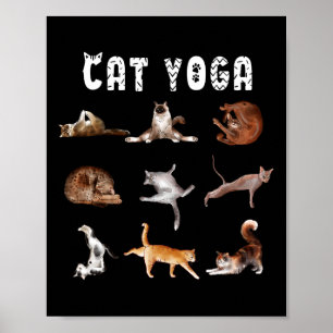 Kitten Funny Cat Lover Yoga Poses Men Women _1 Poster