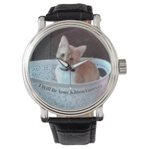 Kitten Funny ,Text And Photo May Be Replaced, Watch
