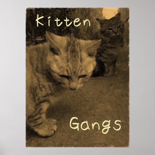 Kitten Gangs Poster (Front)