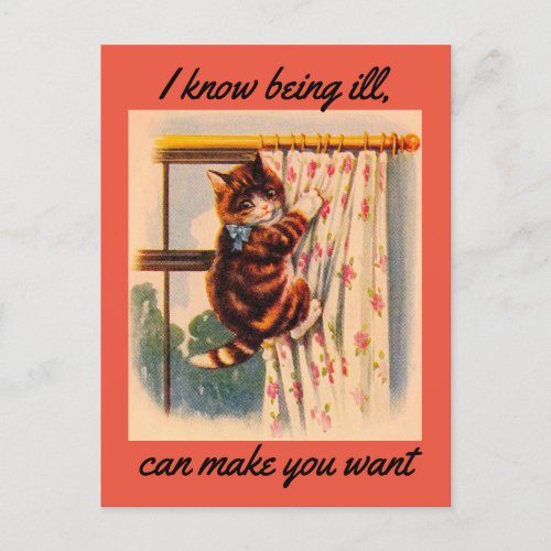 Kitten Get Well Postcard