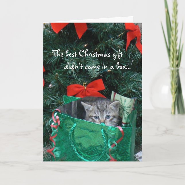 Kitten Gift Christmas Card (Front)