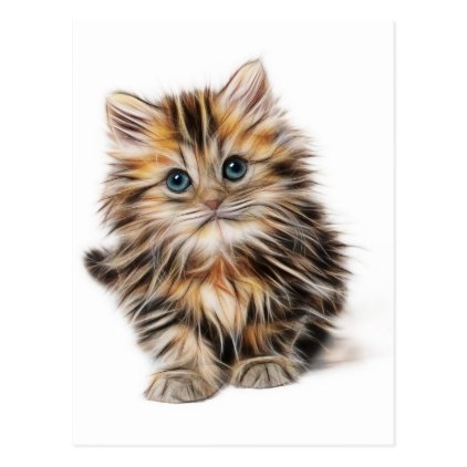 Kitten Gifts Postcard