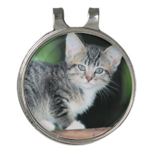 Kitten Golf Hat Clip