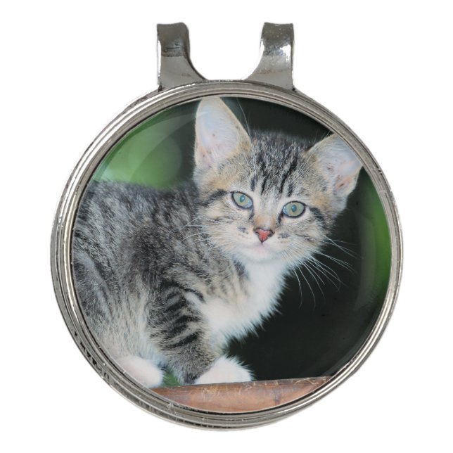Kitten Golf Hat Clip (Front)
