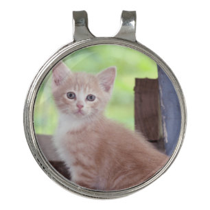 Kitten Golf Hat Clip