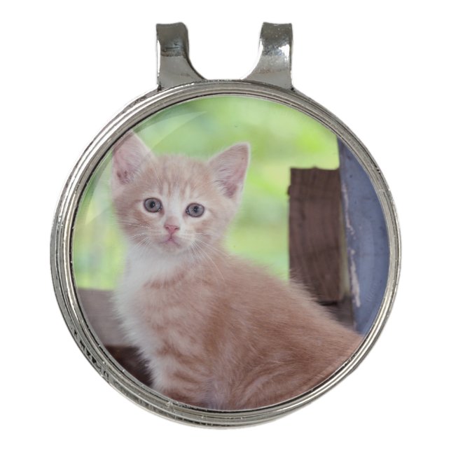 Kitten Golf Hat Clip (Front)