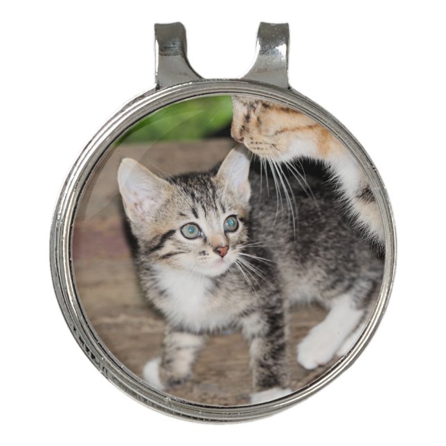 Kitten Golf Hat Clip (Front)
