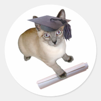 Kitten Graduation Classic Round Sticker
