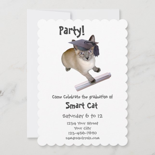 Kitten Graduation Party Invitation (Front)