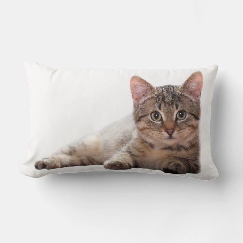 Kitten Gray White Cat Cute Animal  Lumbar Pillow