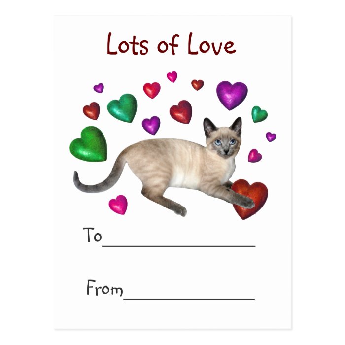 Kitten Hearts Love Post Card