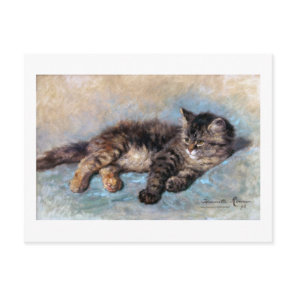 Kitten, Henriette Ronner-Knip Postcard