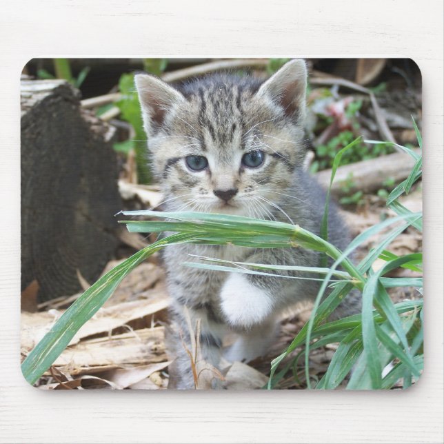 Kitten Hiding Behind Blade of Grass Mouse Pad (Front)