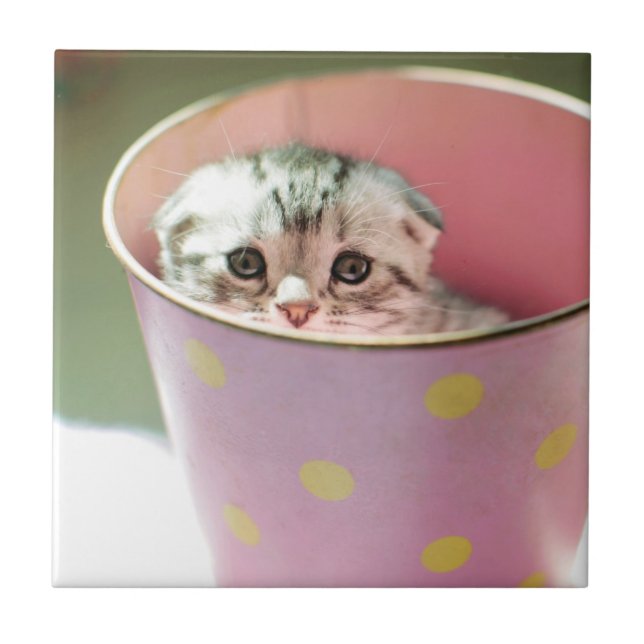 Kitten Hiding Ceramic Tile (Front)
