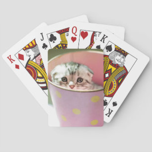 Kitten Hiding Poker Cards