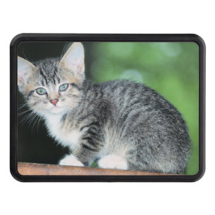 Kitten Hitch Cover