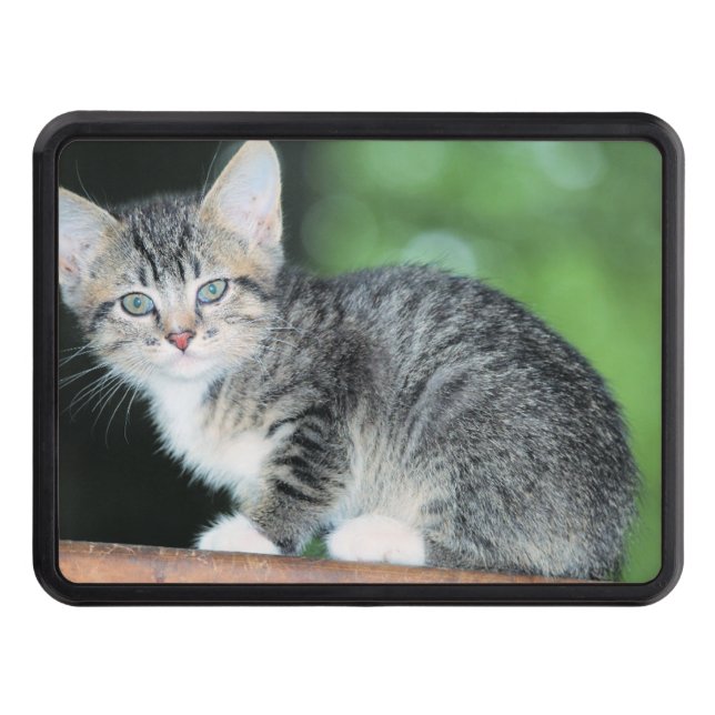 Kitten Hitch Cover (Front)