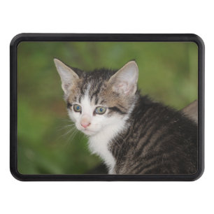 Kitten Hitch Cover