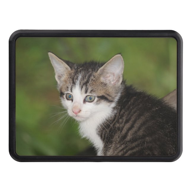 Kitten Hitch Cover (Front)