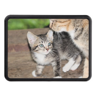 Kitten Hitch Cover
