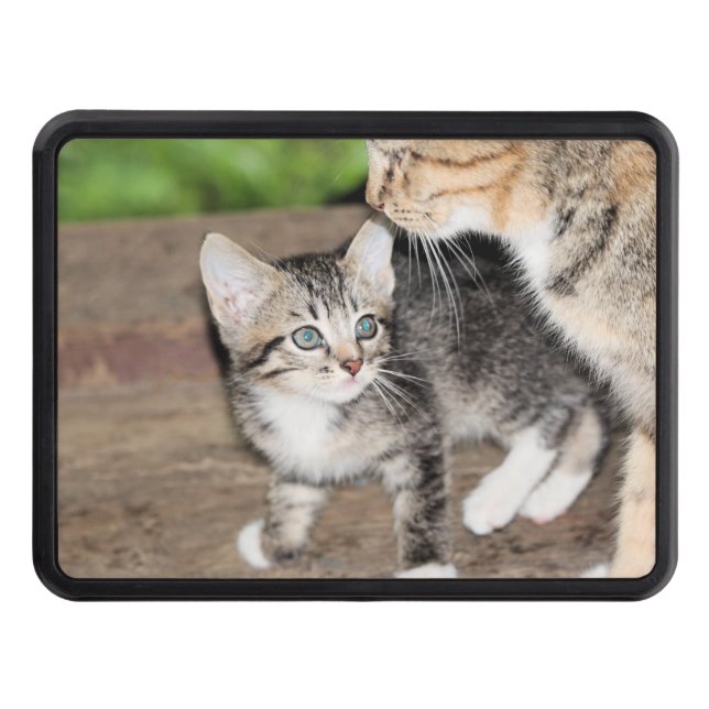 Kitten Hitch Cover (Front)