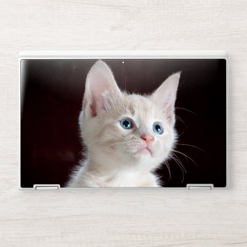 Kitten HP Laptop Skin