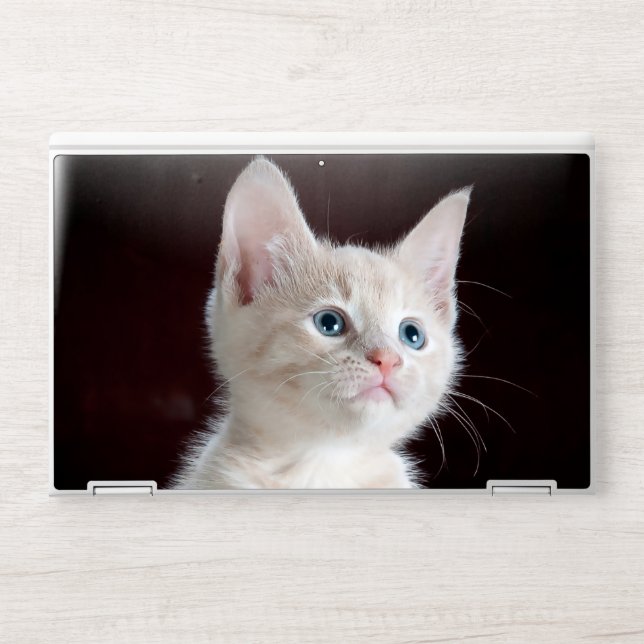 Kitten HP Laptop Skin (Front)