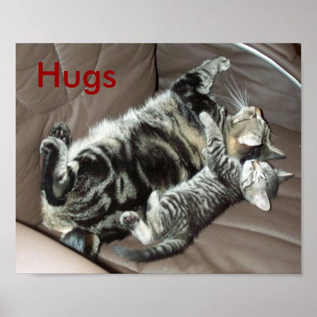 Kitten hugs poster (Front)