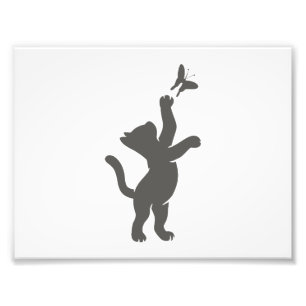 kitten hunting a butterfly - Choose back color Photo Print