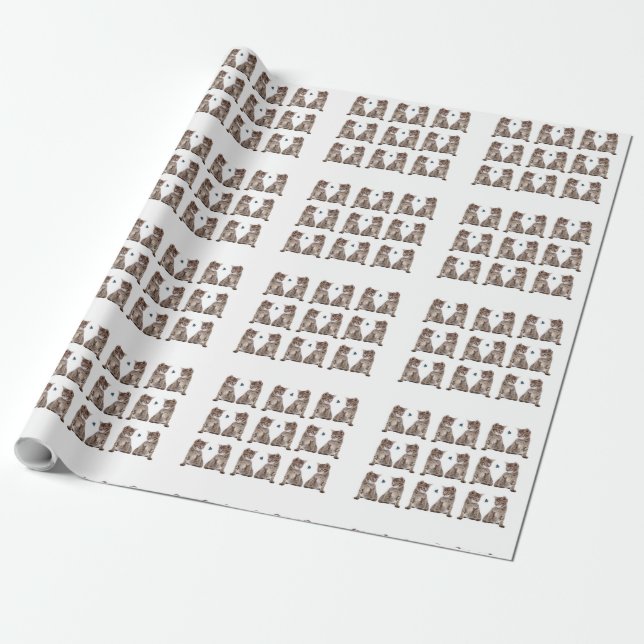 Kitten image for Wrapping Paper (Unrolled)