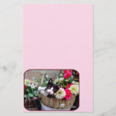 Kitten in a Basket (Front)