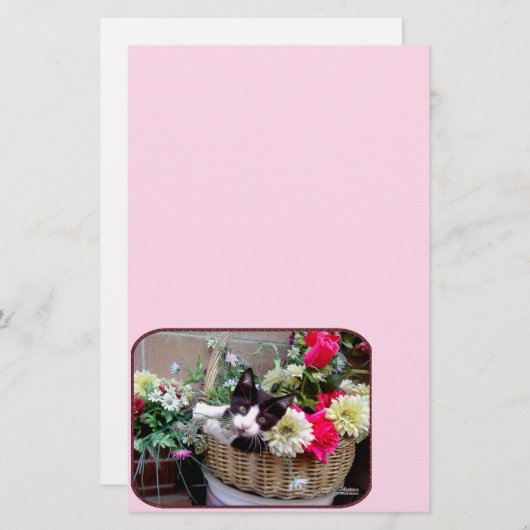 Kitten in a Basket (Front/Back)