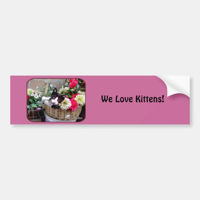 Kitten in a Basket Bumper Sticker (Front)