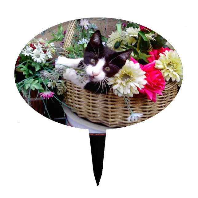 Kitten in a Basket Cake Topper (Front)