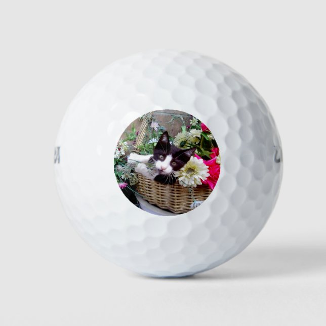 Kitten in a Basket Golf Balls (Front)