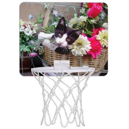 Kitten in a Basket Mini Basketball Backboard