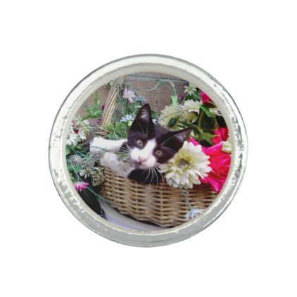 Kitten in a Basket Photo Ring