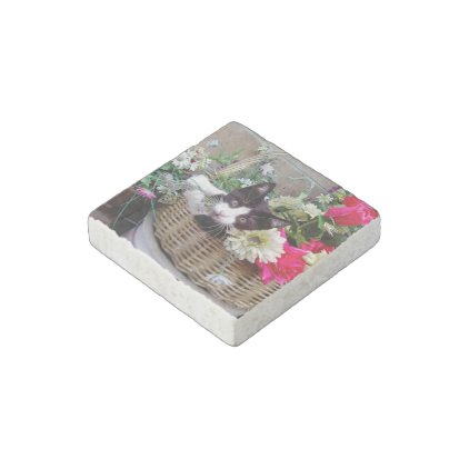 Kitten in a Basket Stone Magnet