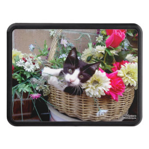 Kitten in a Basket Tow Hitch Cover
