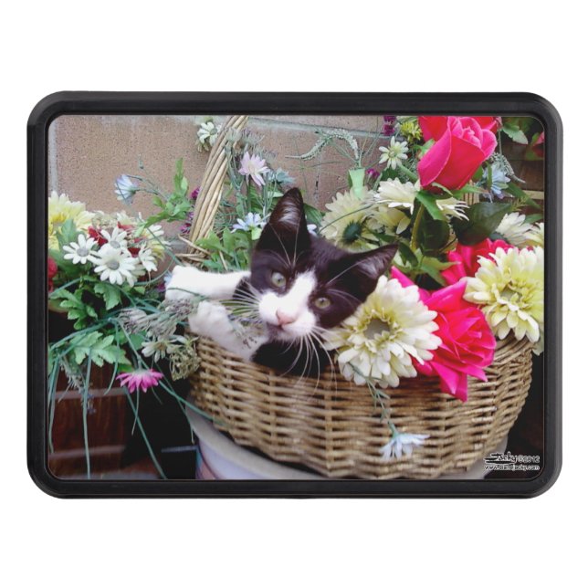Kitten in a Basket Tow Hitch Cover (Front)