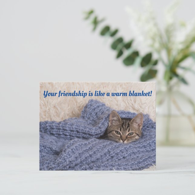 Kitten in a blanket postcard (Standing Front)