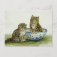 Kitten in a Blue China Bowl